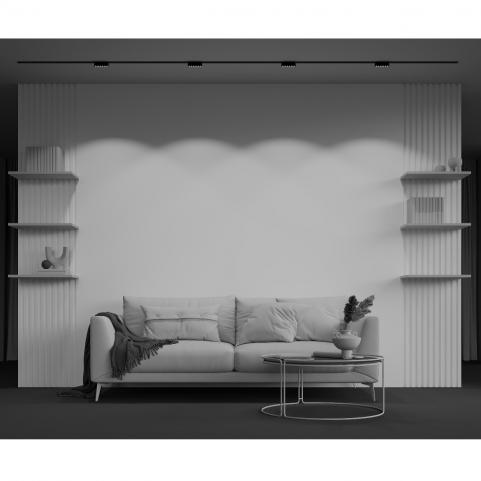 Трековый светильник Maytoni Points Radity 4000K TR082-1-6W4K-M-B