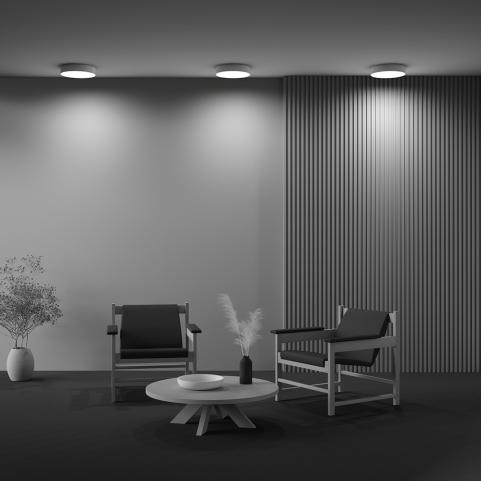 Потолочный светильник Maytoni Technical Ceiling 3000K Zon C032CL-36W3K-RD-W