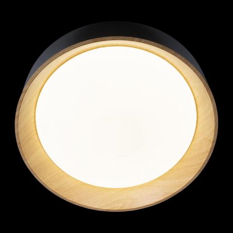 Потолочный светильник Loft IT Coin 10202 Black