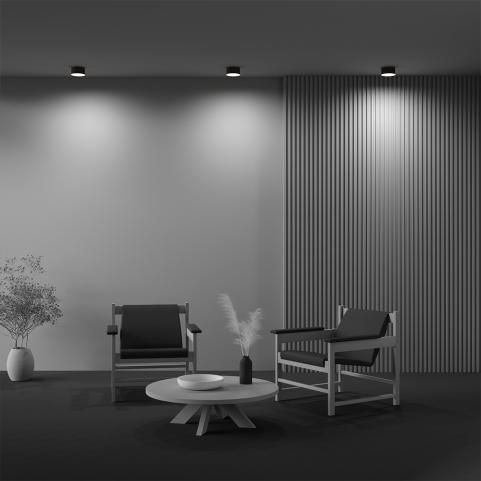 Потолочный светильник Maytoni Technical Ceiling 3000K Zon C032CL-12W3K-RD-B