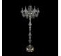 Bohemia Ivele Crystal Торшер Bohemia 1409T1/6/195-160 G