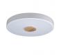 Потолочный светильник Loft IT Axel 10003/24 White