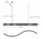 Подвесной светильник Newport 8243/110 gold NEW