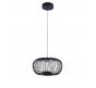 Светильник подвесной Arte Lamp Flare A3527SP-12BK